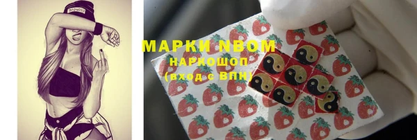 прущие грибы Куйбышев