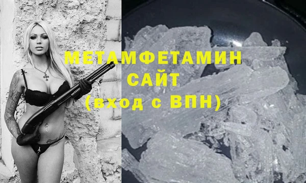 прущие грибы Куйбышев