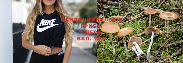 стафф Абаза