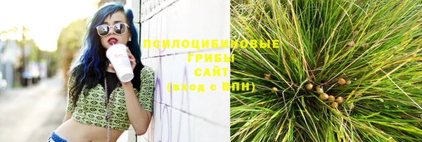 стафф Абаза
